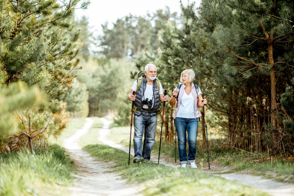Une personne âgée et un senior avec une canne dans la forêt